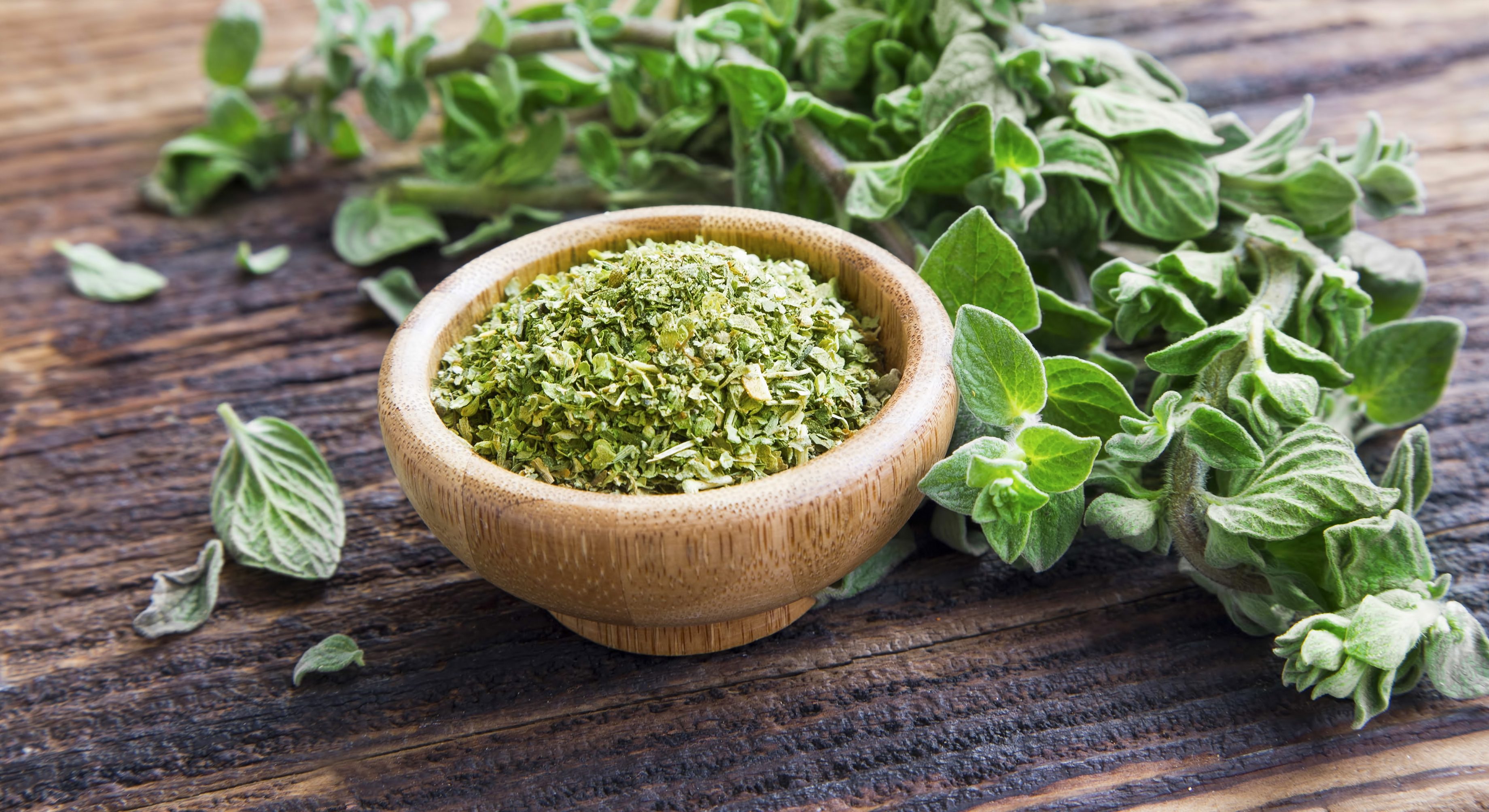 Oregano And Tea Tree Oil For Toenail Fungus