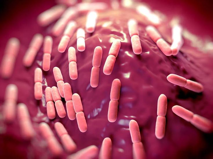 A star probiotic, Bacillus coagulans is used to adjust the flavor and - Does Bacillus Coagulans Help With Yeast Infections