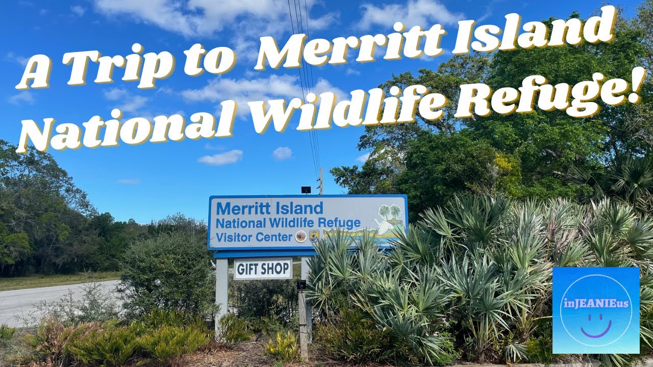 A trip to the Merritt Island National Wildlife Refuge! - YouTube - Community Bank Of The South Merritt Island Florida