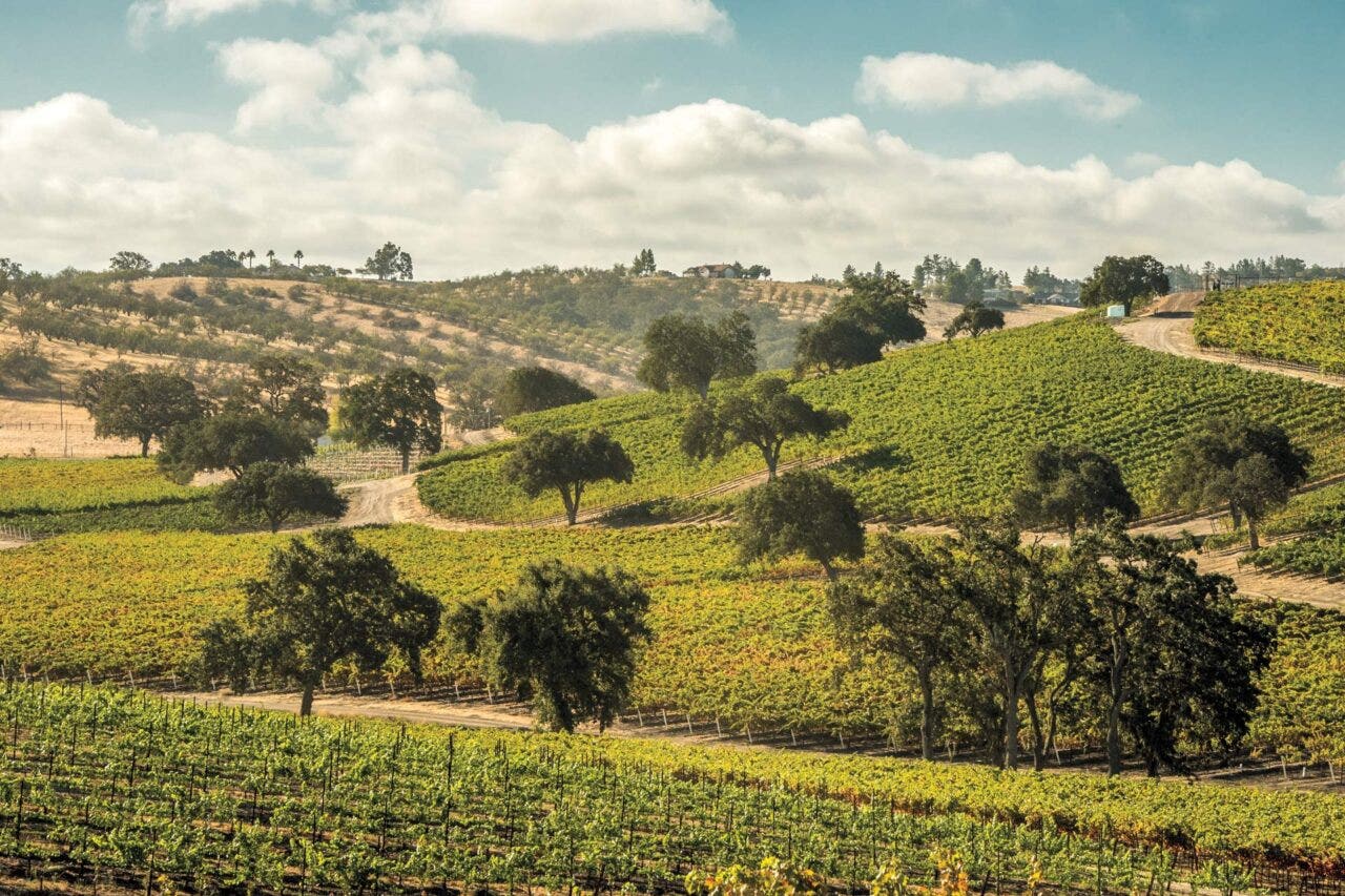 A Wine-Lover’s Guide to Paso Robles: 11 Appellations to Know | Wine - Paso Robles Inn Paso Robles Ca