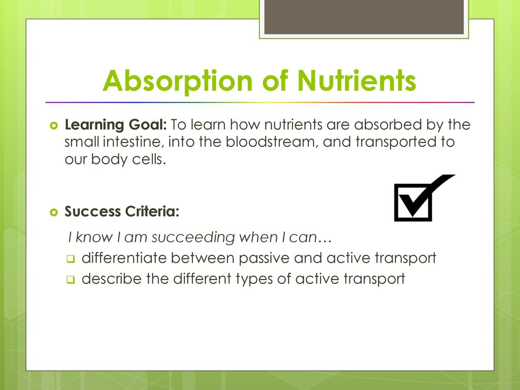 Absorption of Nutrients - ppt download - Nutrient Absorption Occurs Primarily In The