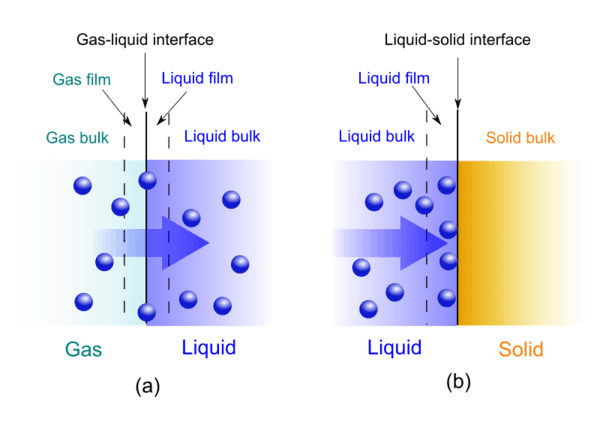 Absorption vs Adsorption - Difference and Comparison | Diffen - Absorption Of Vitamin B12 Requires The Presence Of:
