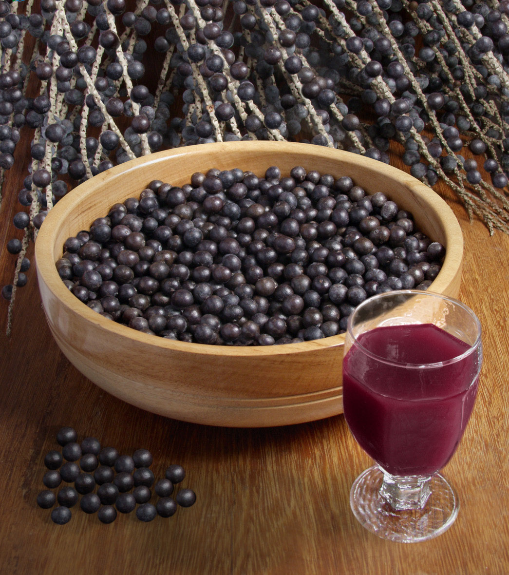 ACAI (Baies) : Propriétés, Bienfaits, Posologie, Effets - Acai Roots Sorbet Where To Buy