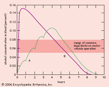 Alcohol consumption | Drinking, Intoxication, Health Effects, & Society - Affect The Amount And Rate The Alcohol Reaches The Bloodstream