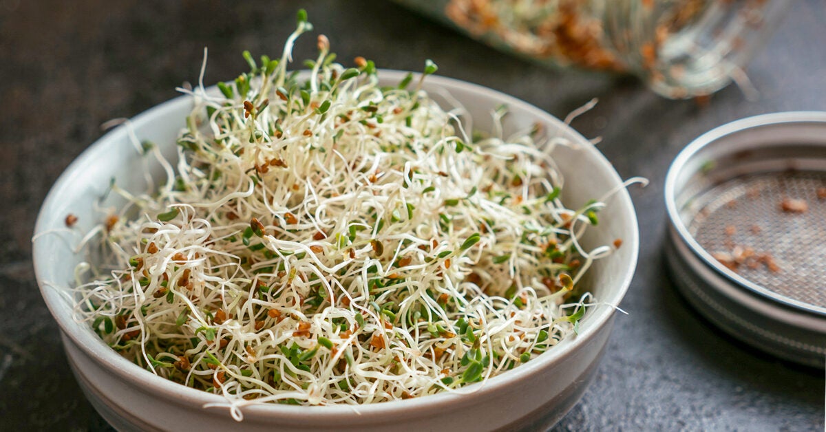 Alfalfa: Benefits, Nutrition Facts & Side Effects - Alfalfa Hay Price Per Ton 2024