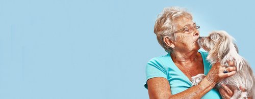 Alignment Health - Alignment Health My Choice Calplus Providers