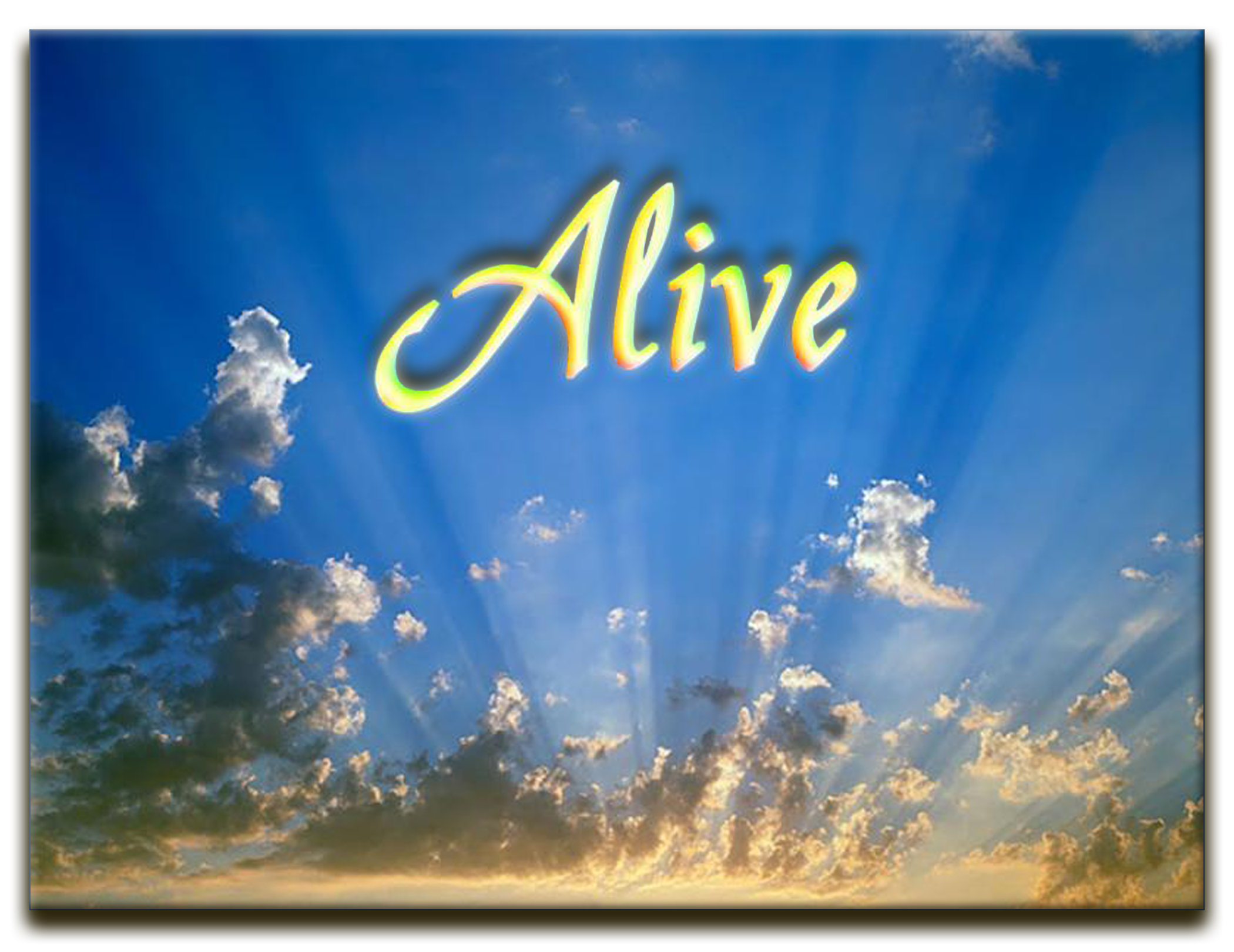 Alive Hair Skin And Nails Gummies