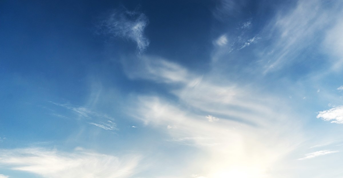 All About Air | Cook Museum of Natural Science - Do Air Purifiers Help With Cat Litter Smell