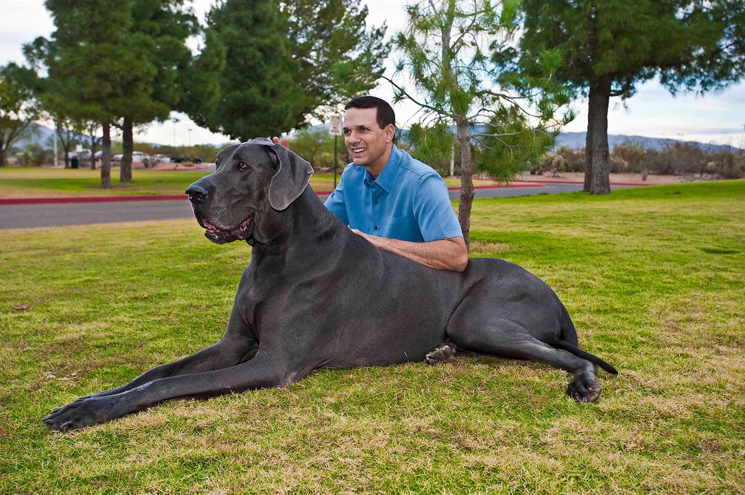 Amazing World: Giant George - The Tallest & The Largest in the World - Biggest Biotech Hubs In The World