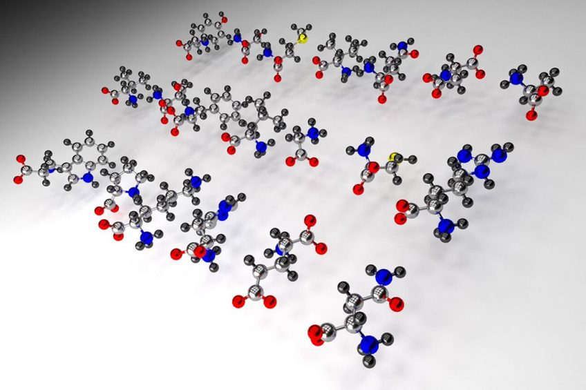Amino Acid Prices - All About Feed - How Much Does An Amino Acid Weigh