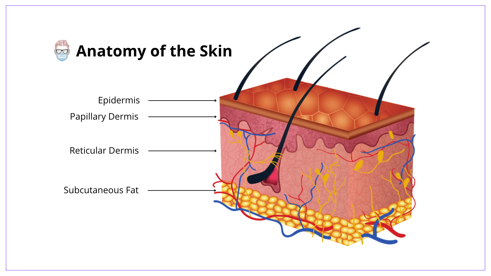 Skin Tag Removal Kit Rubber Bands