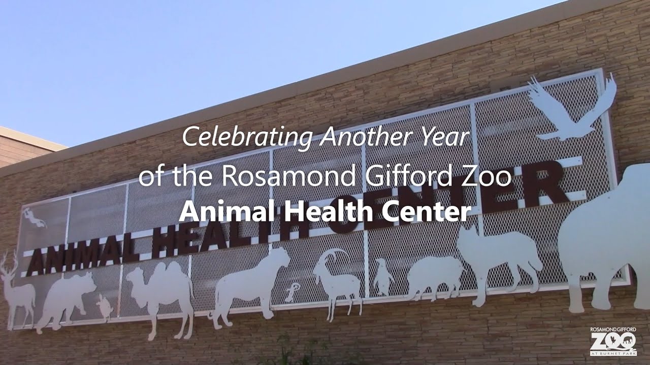 Animal & Bird Health Care Center & Hospital