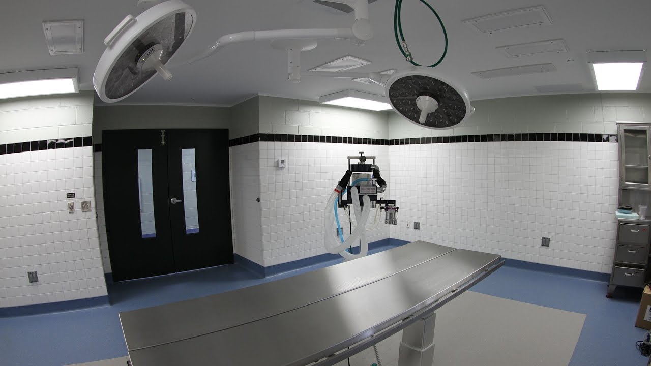 Animal Health Center - YouTube - Animal & Bird Health Care Center & Hospital
