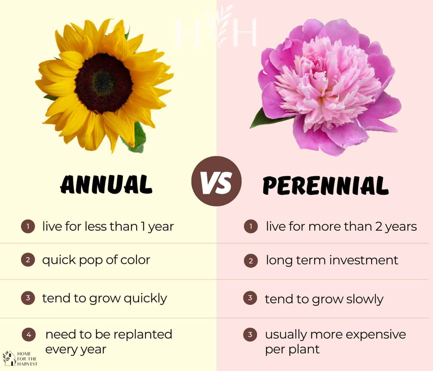 Annual Compilation Shared On Social Media
