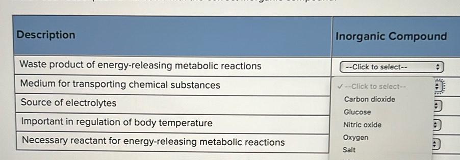 Waste Product Of Energy-releasing Metabolic Reactions