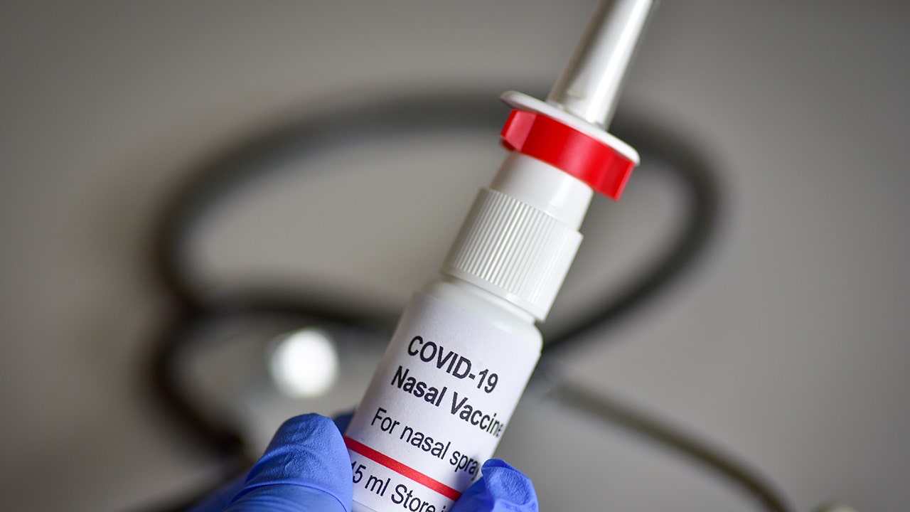 Anti-COVID nasal spray could protect against infection for up to 8 - Does Nasal Spray Affect Covid Test Results