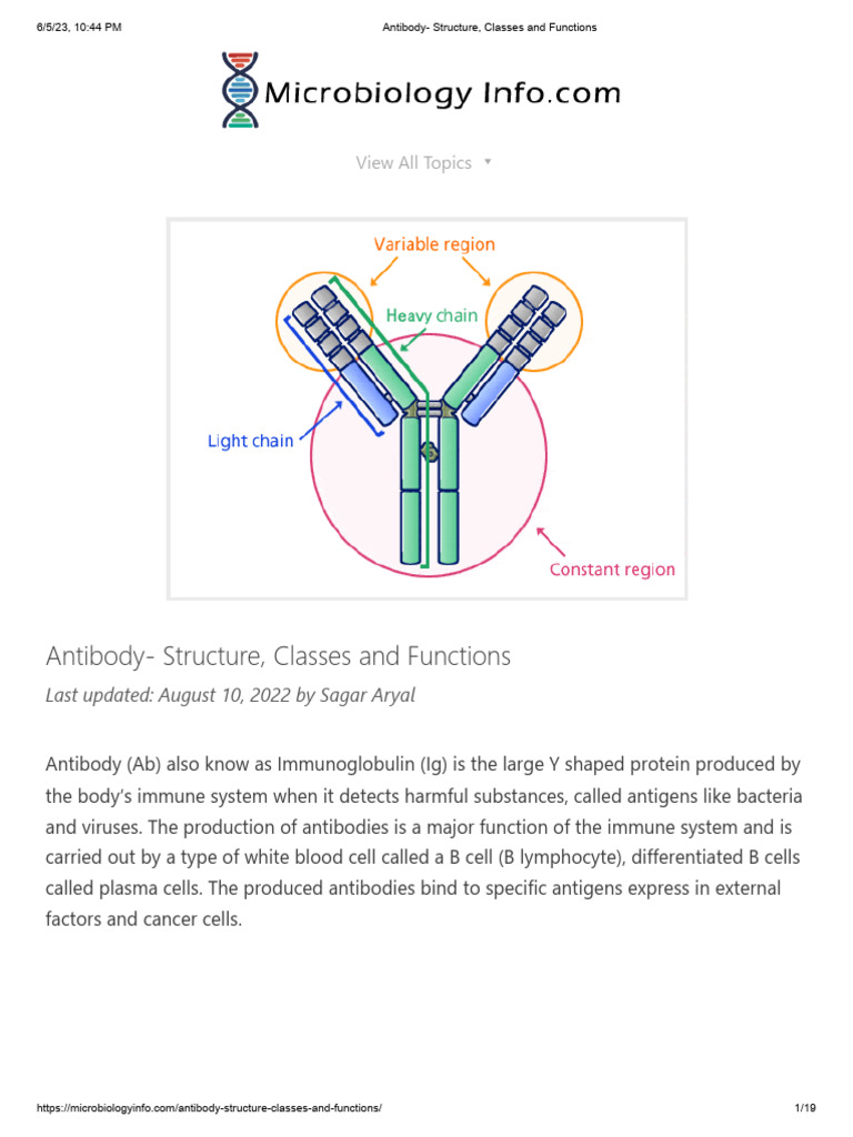 Each Class Of Antibody Is Differentiated By The
