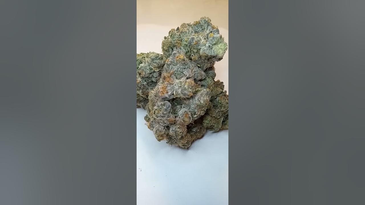 Successful Genetic Cross With Apple Fritter Cannabis Strain