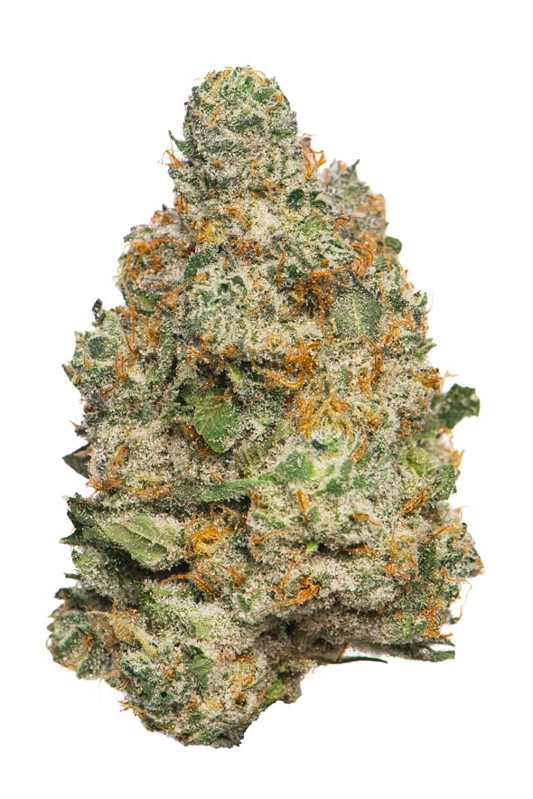 Apple Fritter Strain | Proper Cannabis - Successful Genetic Cross With Apple Fritter Cannabis Strain