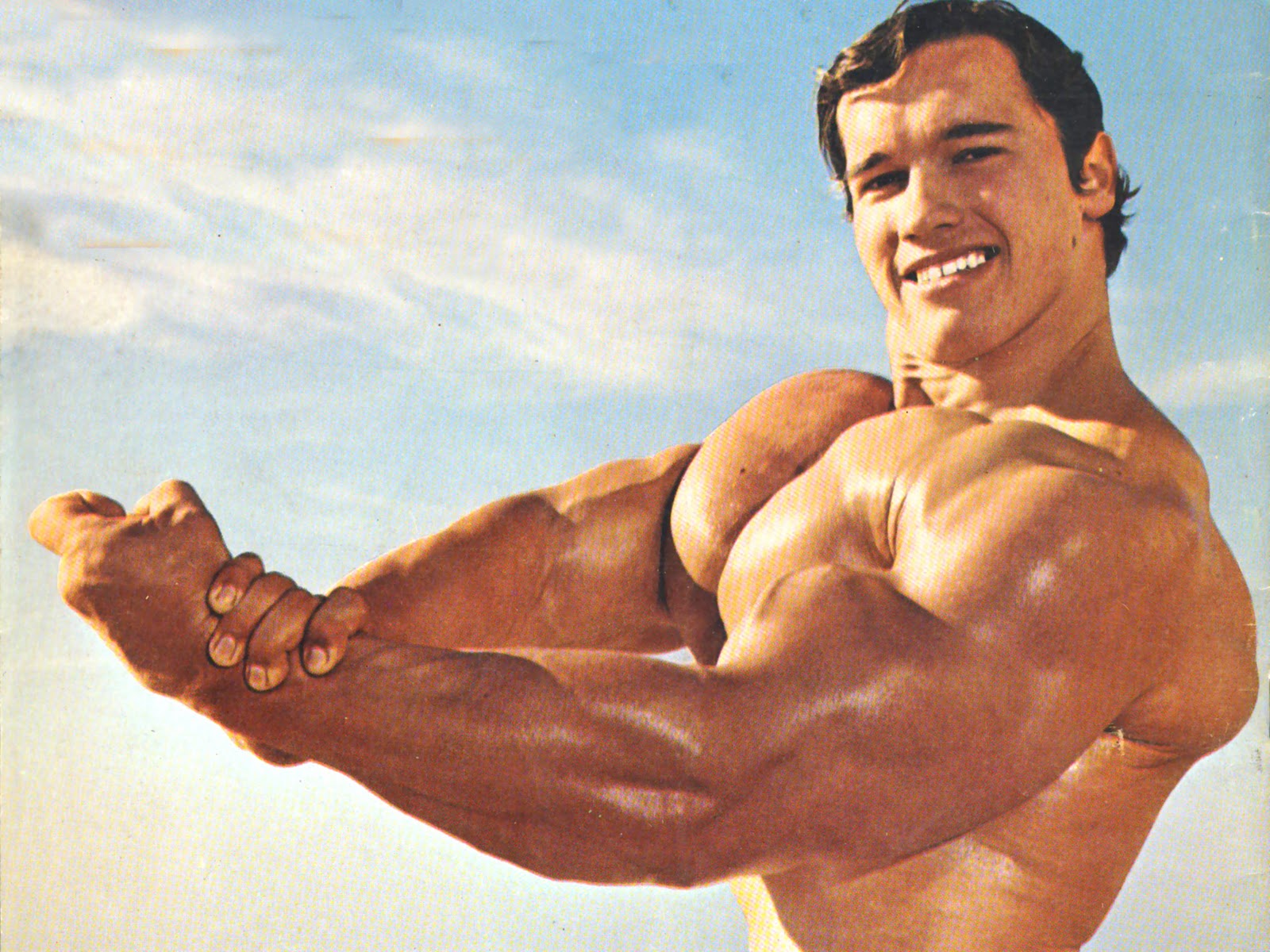 Arnold Schwarzenegger wallpaper | 1600x1200 | #4304 - Arnold Transportation Services Grand Prairie Tx
