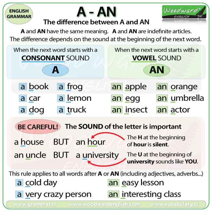 An Indicator Is A Comprehensive Analysis Of Critical