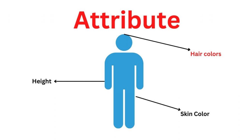 Attribute - Meanings, Definition and Examples - Research Method - Attributes Of A Skilled Consumer Of Research