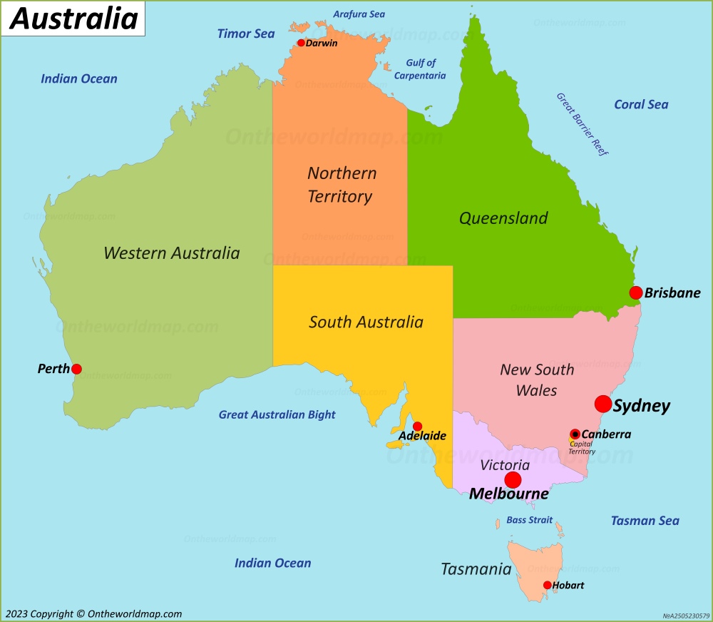 Australia Adult Feeding Tubes And Formula Market