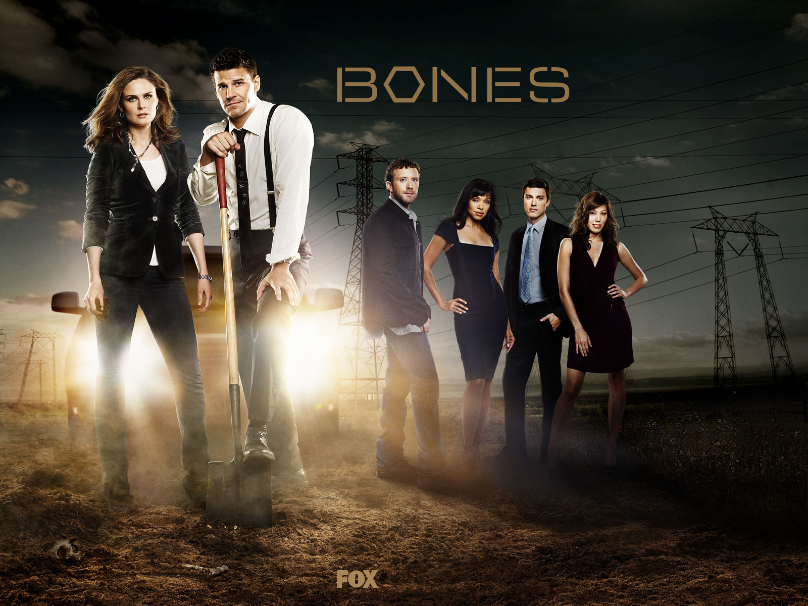Awesome TV Series: Bones - Bones Coffee K Cups Variety Pack