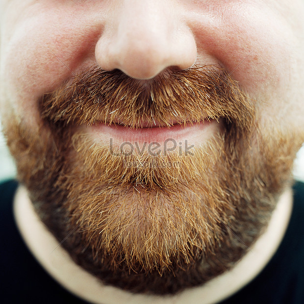 Bearded Man Picture And HD Photos | Free Download On Lovepik - Do Bearded Dragons Make Good Pets