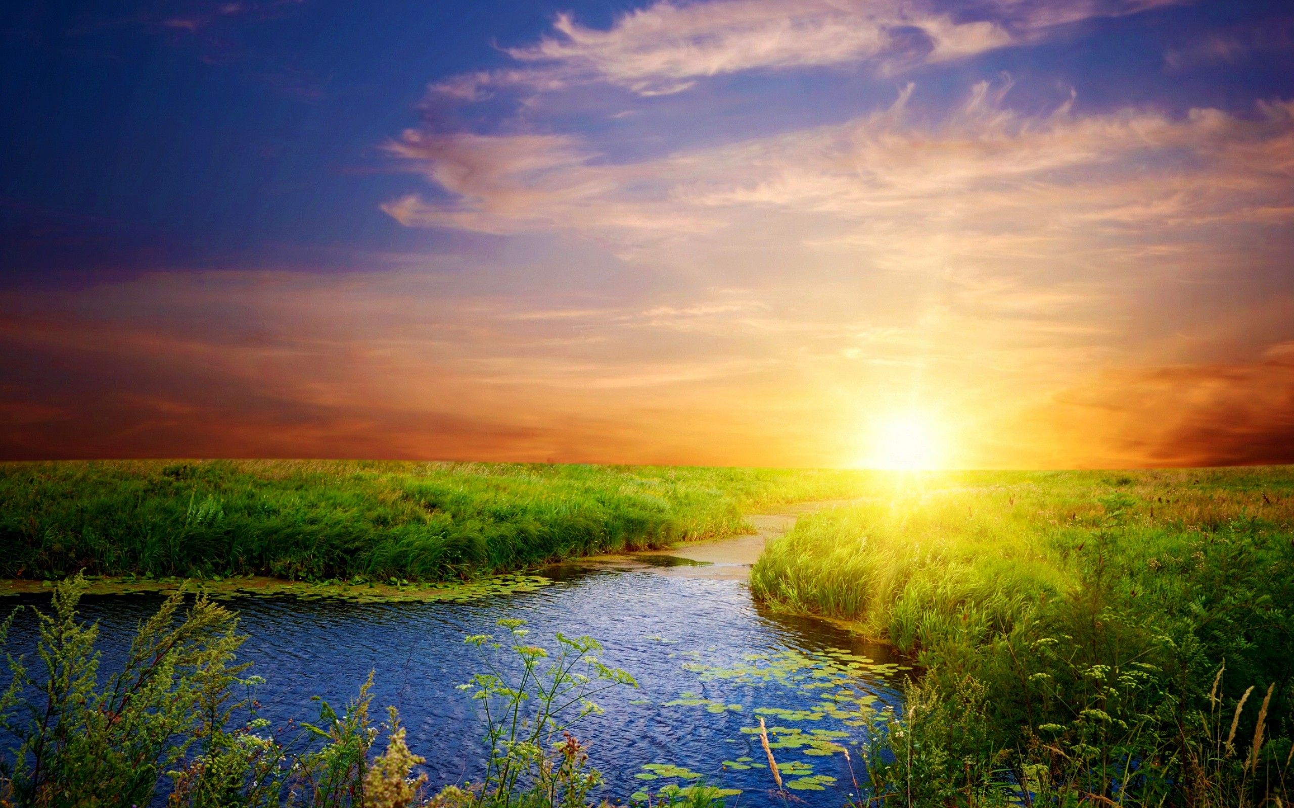 Beautiful Sunshine Wallpapers on WallpaperDog - Sunshine Biopharma Inc Subsidiaries Licensing Agreements