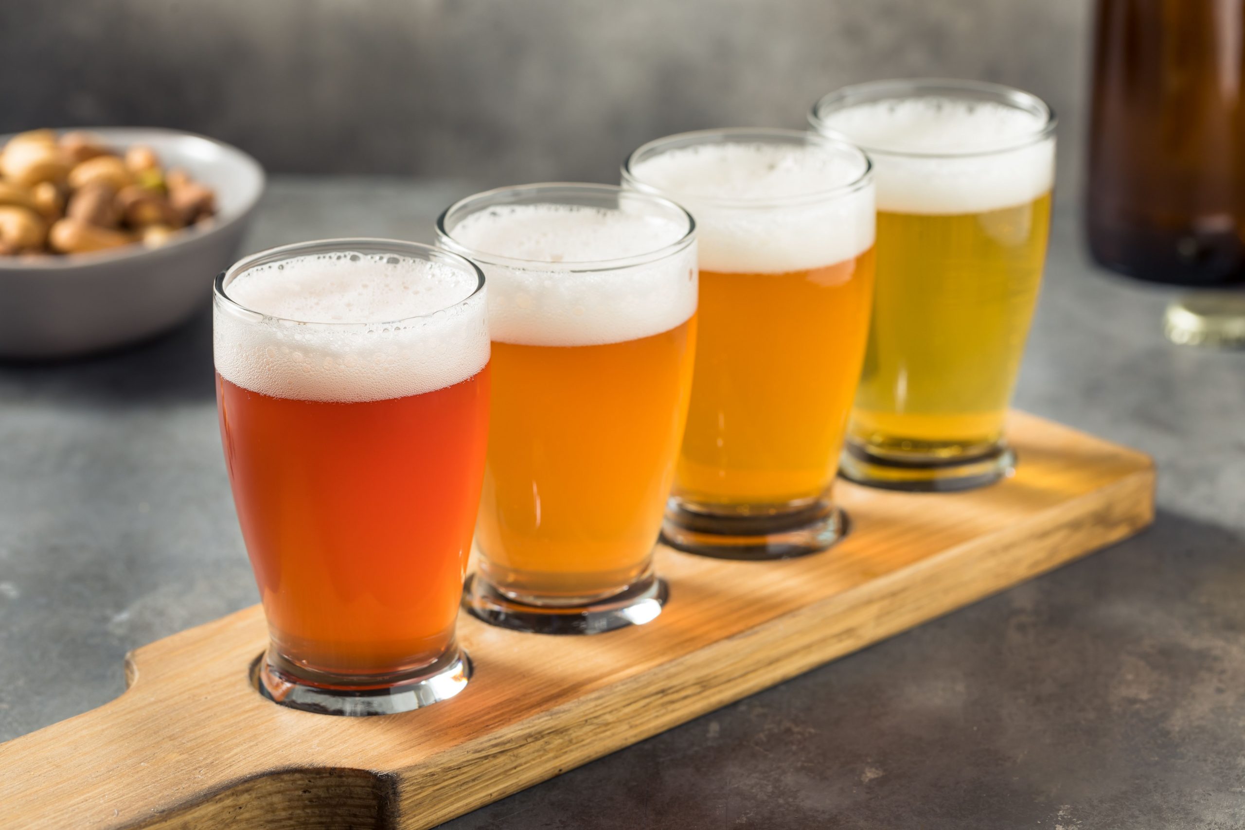 Beer And Cheese Fest Madison 2025