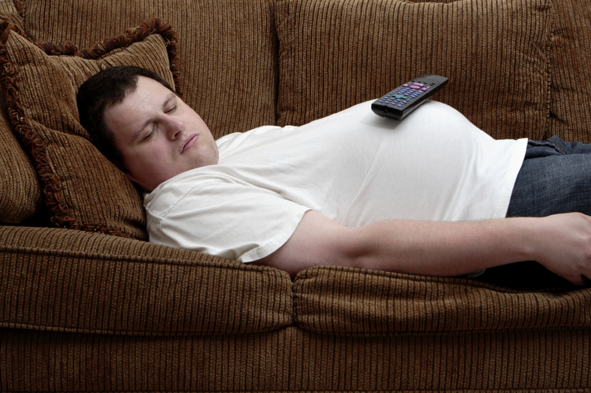 Being lazy in middle age could make your brain shrink in later life - Lazy Acres West Washington Street San Diego Ca