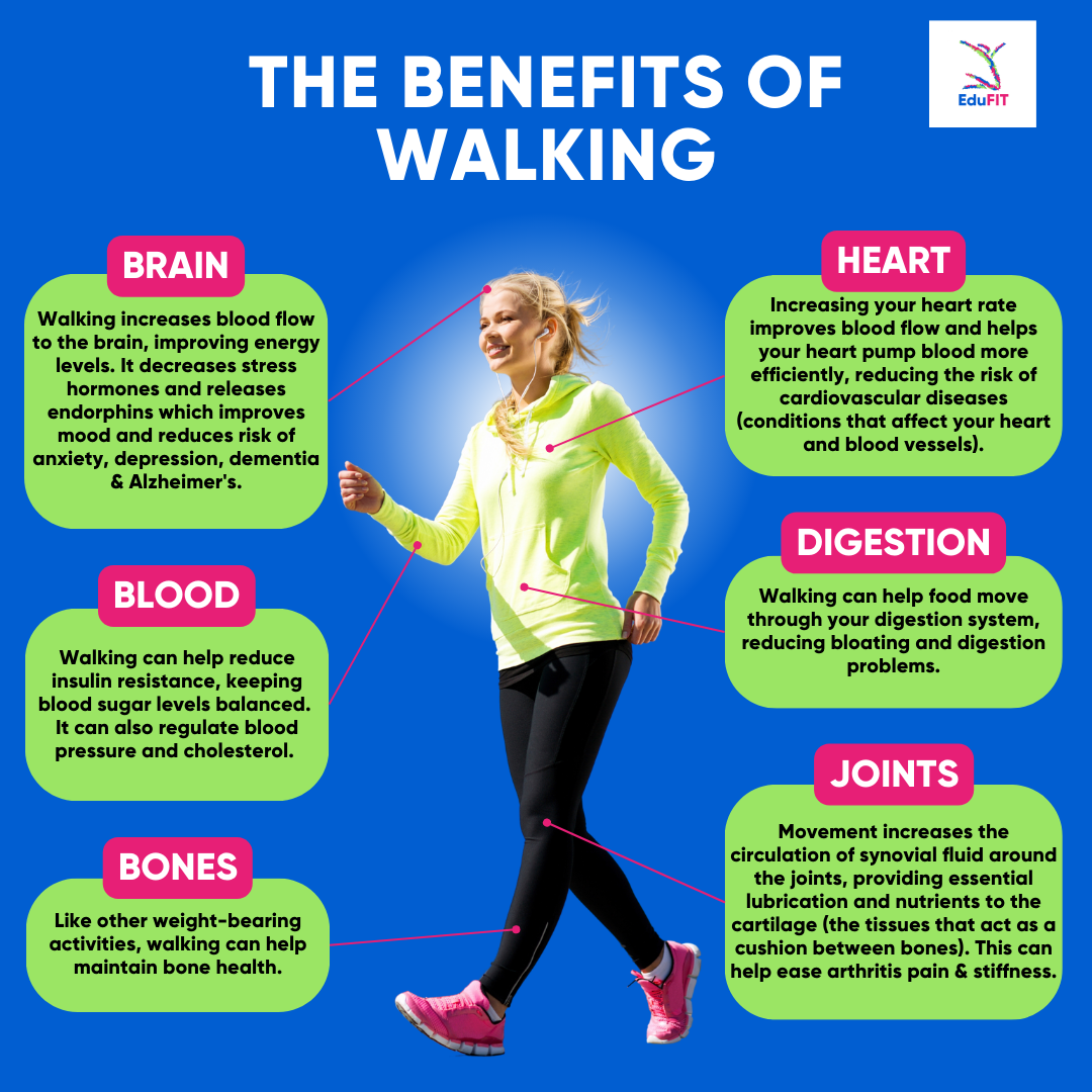 Benefits Of Walking Infographic - Benefits Of Non Stim Pre Workout
