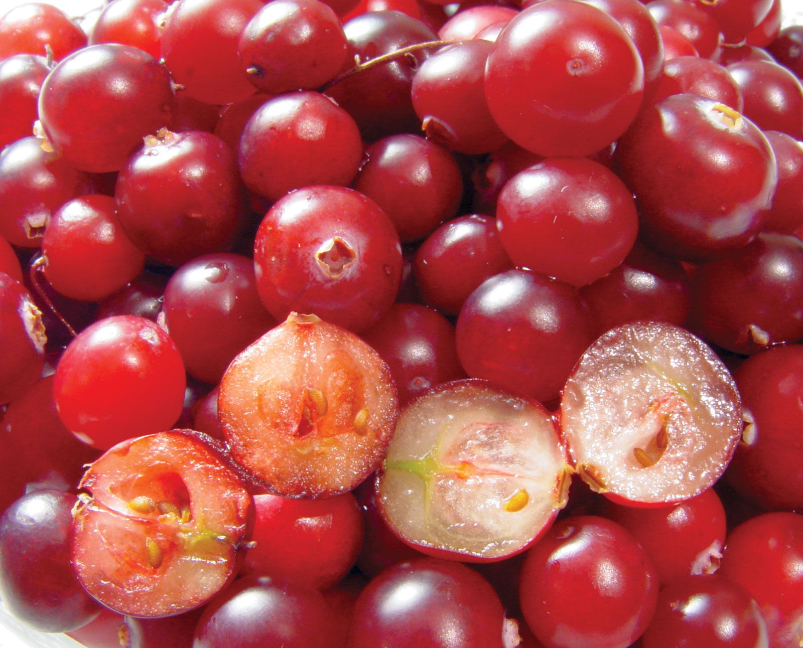 Berry Dunn Mcneil & Parker Data Security Incident Litigation