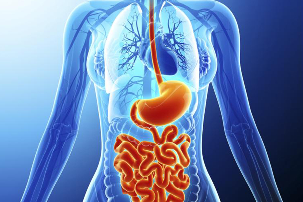 Gastroenterology Group Of Rochester South Clinton Avenue Rochester Ny