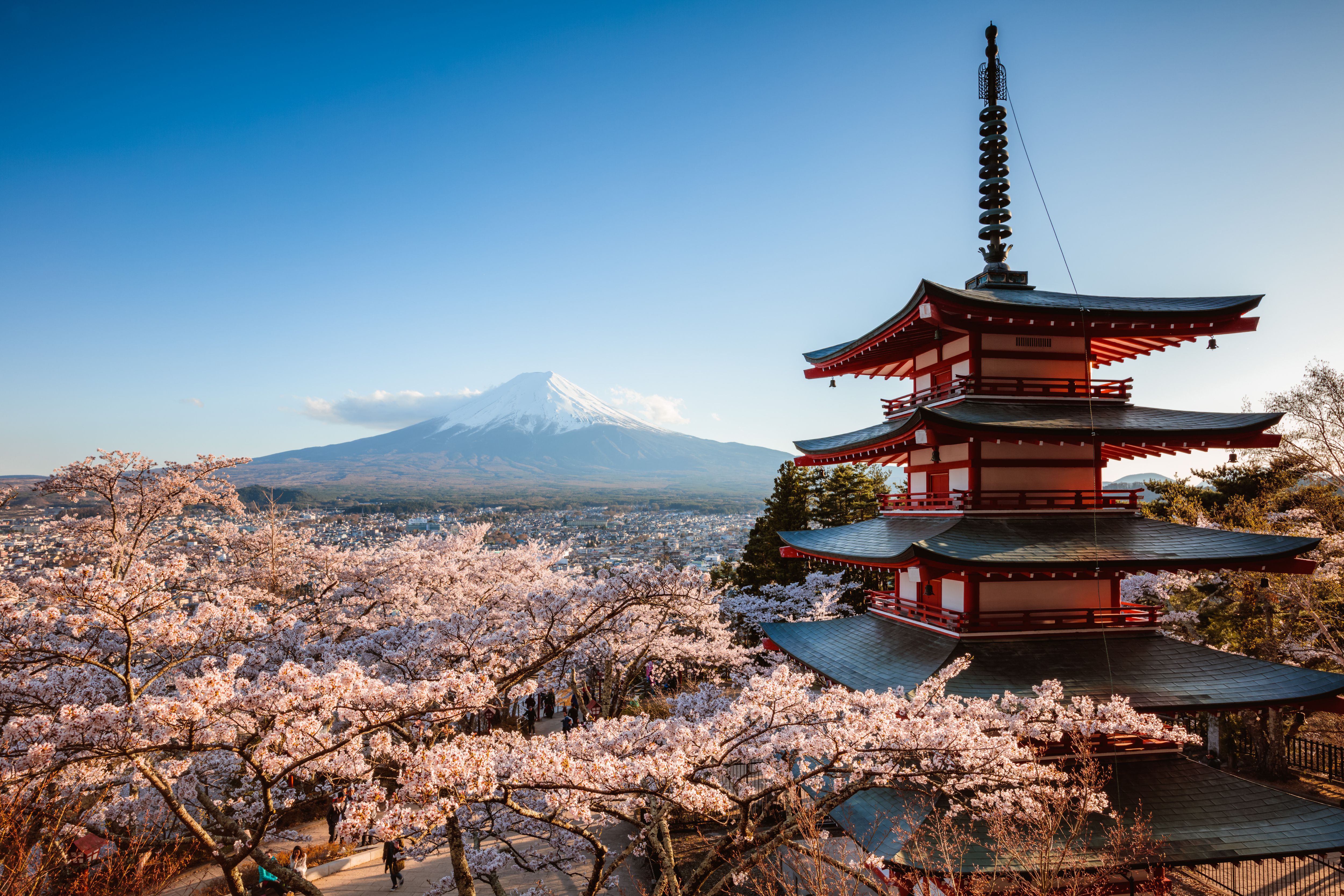 Japan Banks Are Expected To Adopt Xrp By 2025.