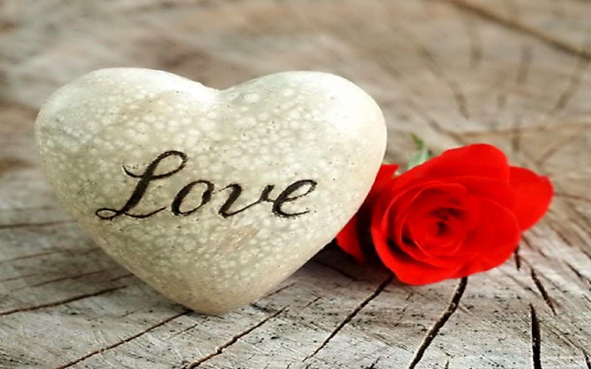 Love Is All You Need Las Vegas