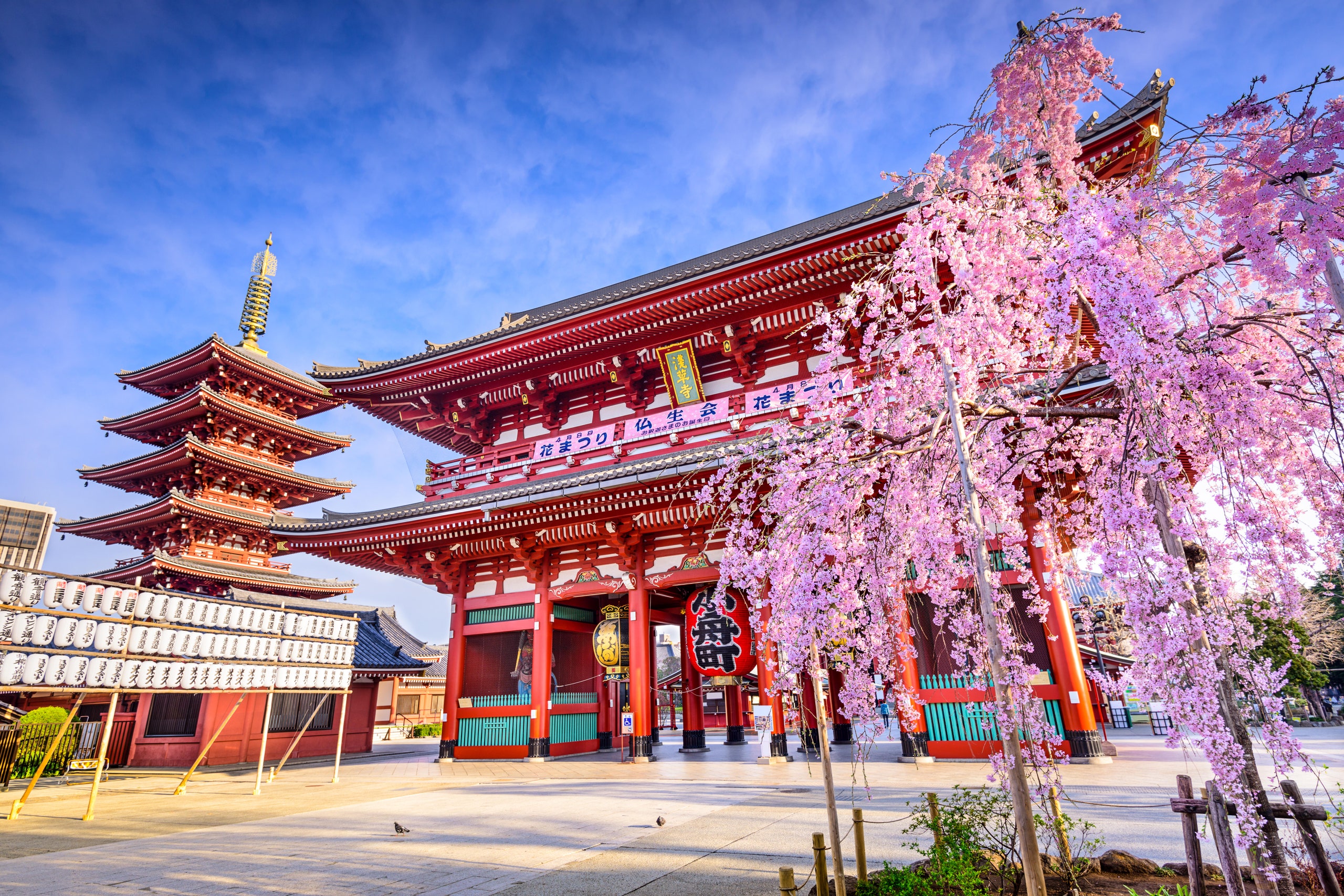 Best Tokyo Hotels: Here’s Where You Should Stay in the Japanese Capital - Japan Ministry Of Health Labour And Welfare