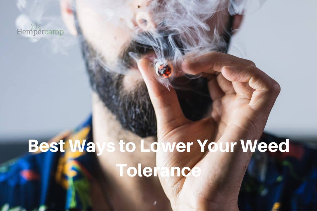 Best Ways to Lower Your Weed Tolerance | Hempercamp - How To Lower Your Tolerance For Weed Without Stopping Smoking