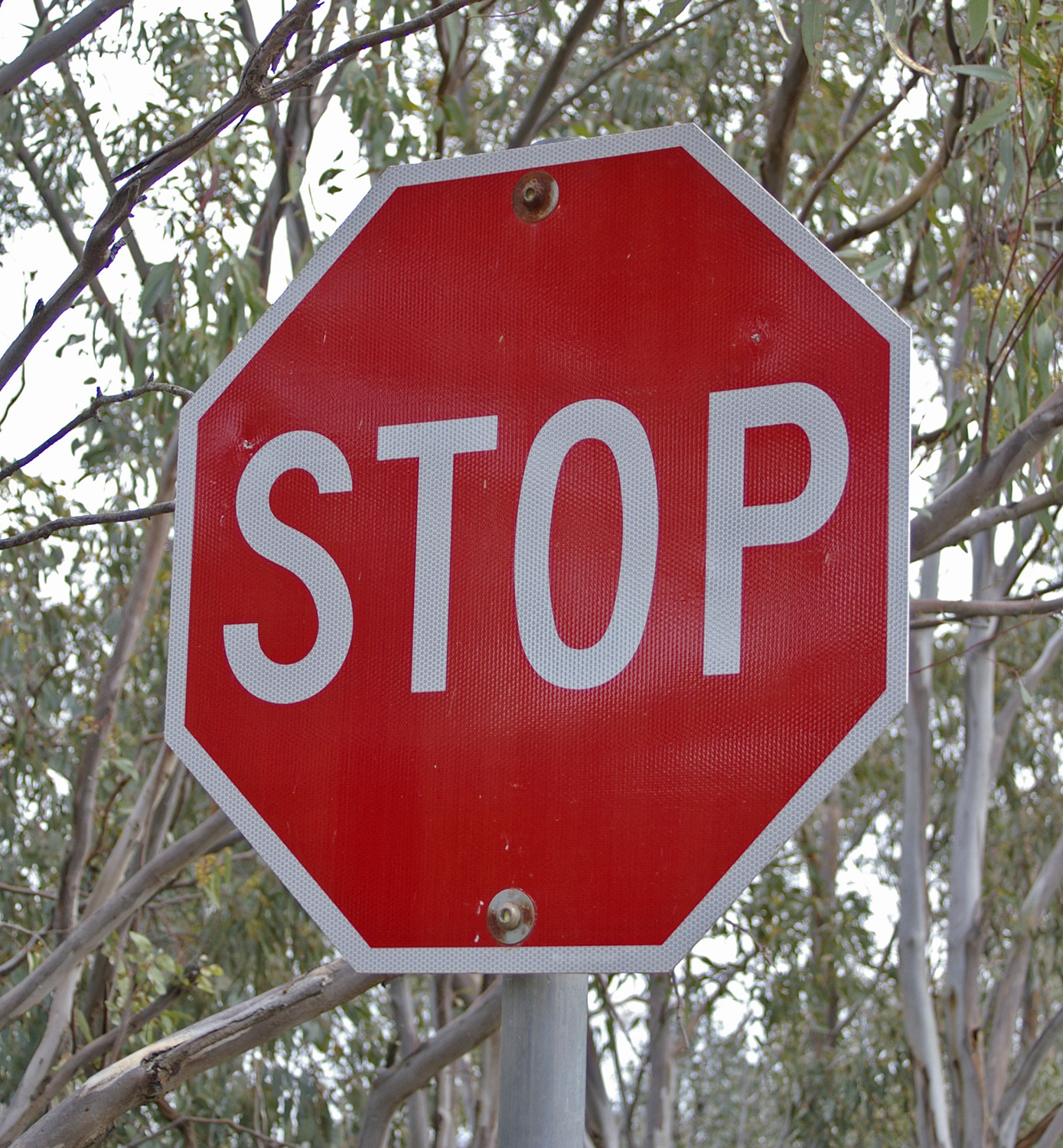Bestand:STOP sign.jpg - Wikipedia - Stop And Shop East Brunswick Nj