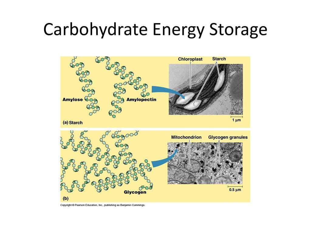 Biochemistry: Macromolecules Part 1 - ppt download - Cells Prefer To Use Carbohydrates As Energy Sources Because