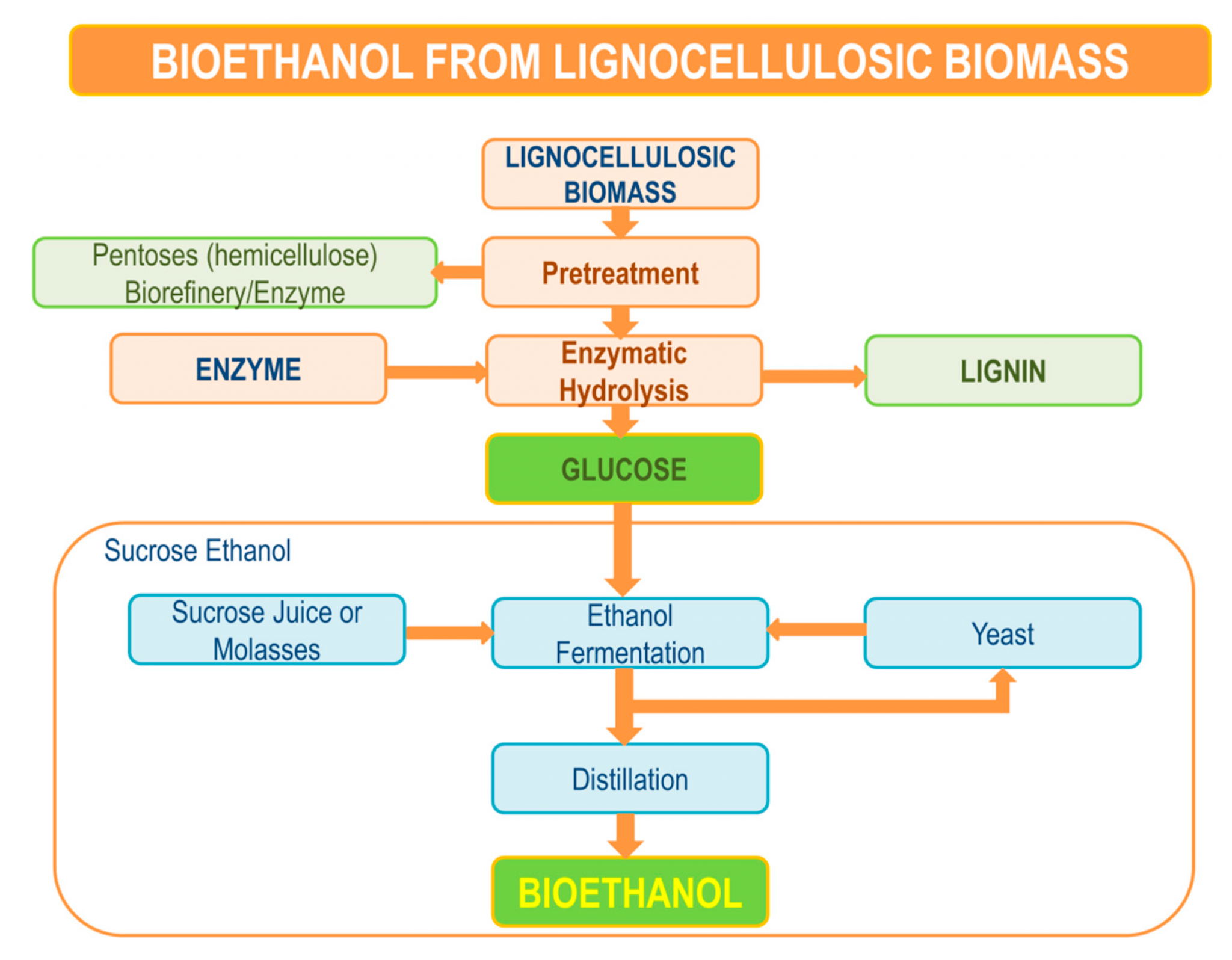 Bioethanol Yeast And Enzyme Strains For Sscf Commericially Availible