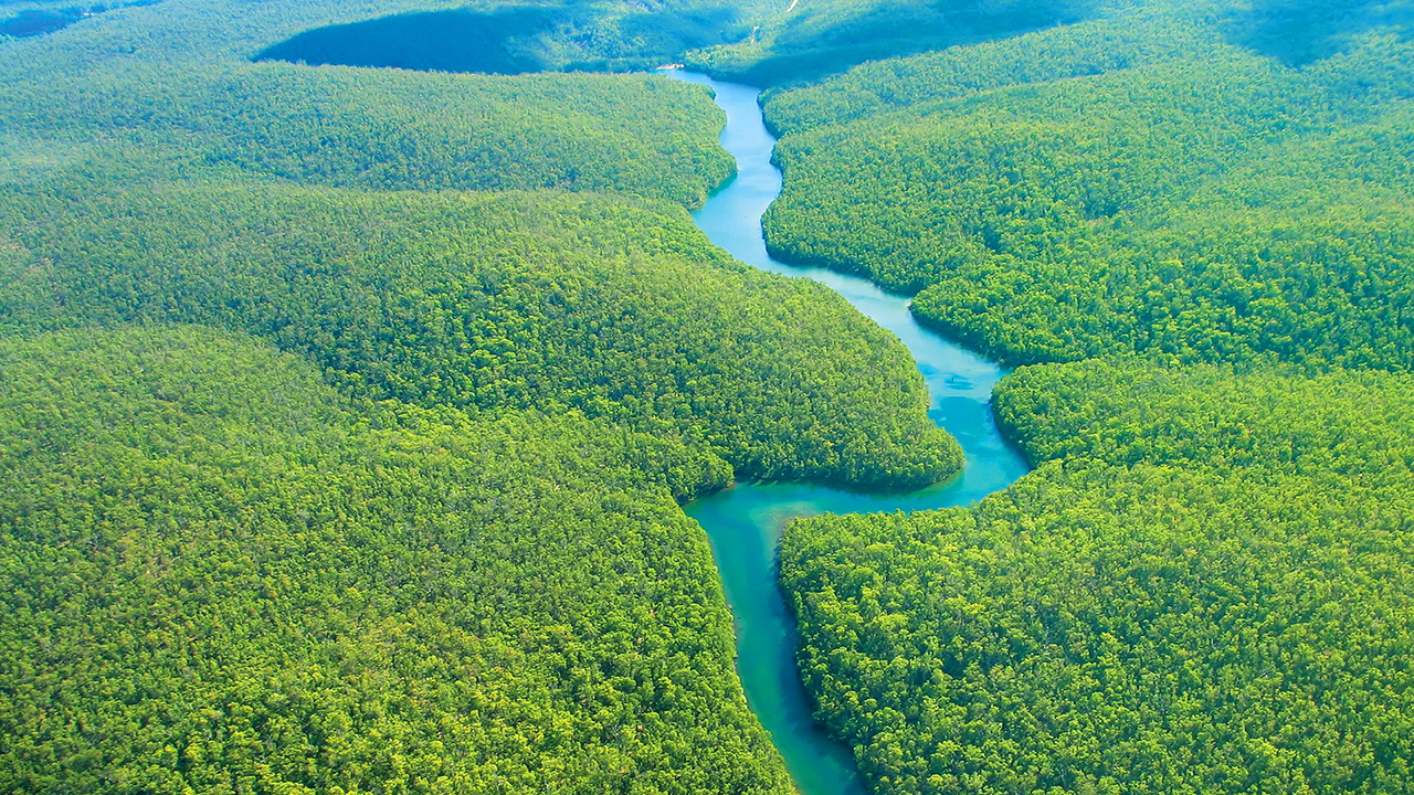 BIOMAS BRASILEIROS - CF 2017 : Conheça um pouco sobre o BIOMA AMAZÔNIA - Does Bioma Work To Lose Weight