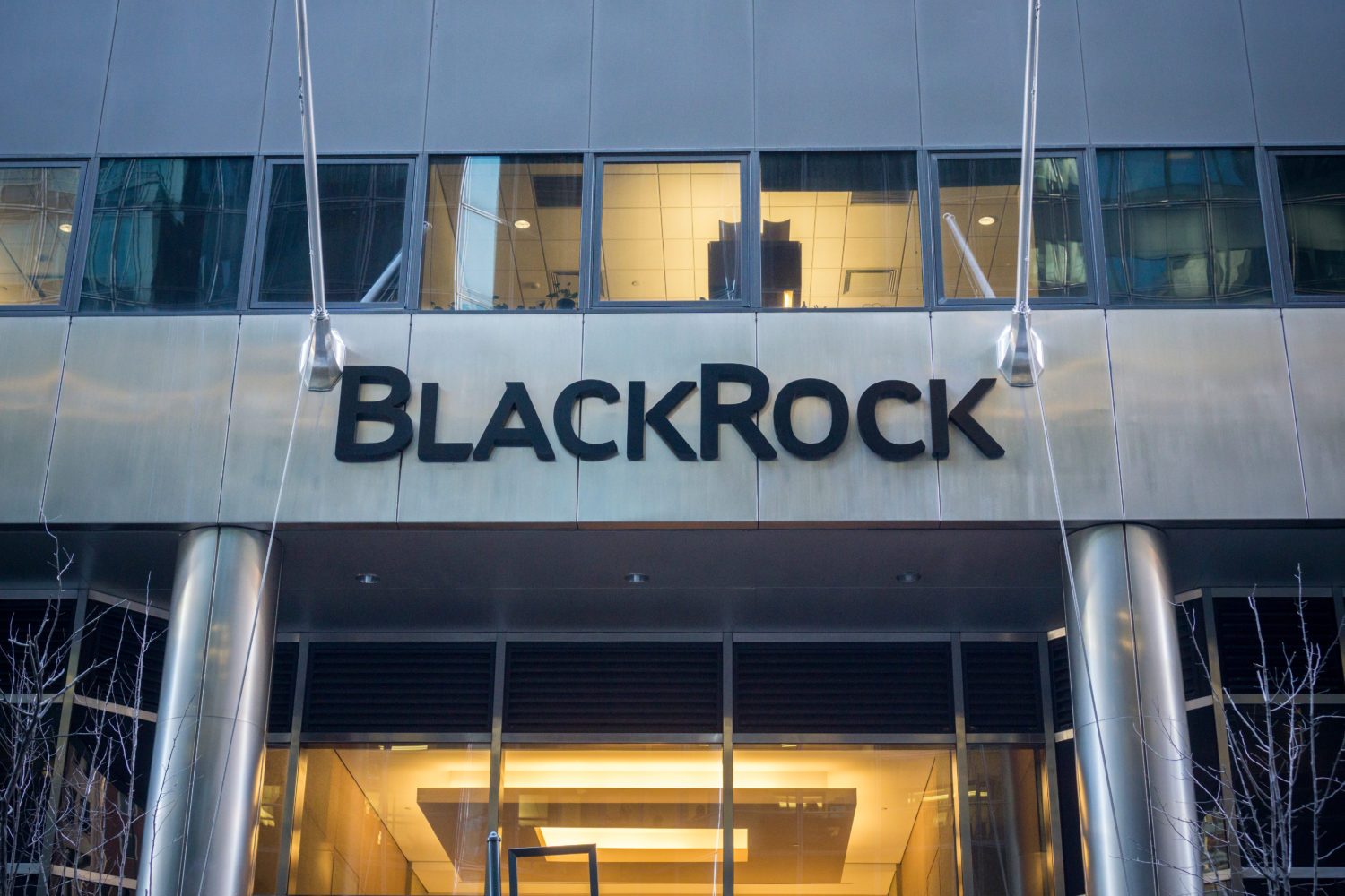 blackrock-千图网 - Blackrock Funds Capital Gains Estimates 2024