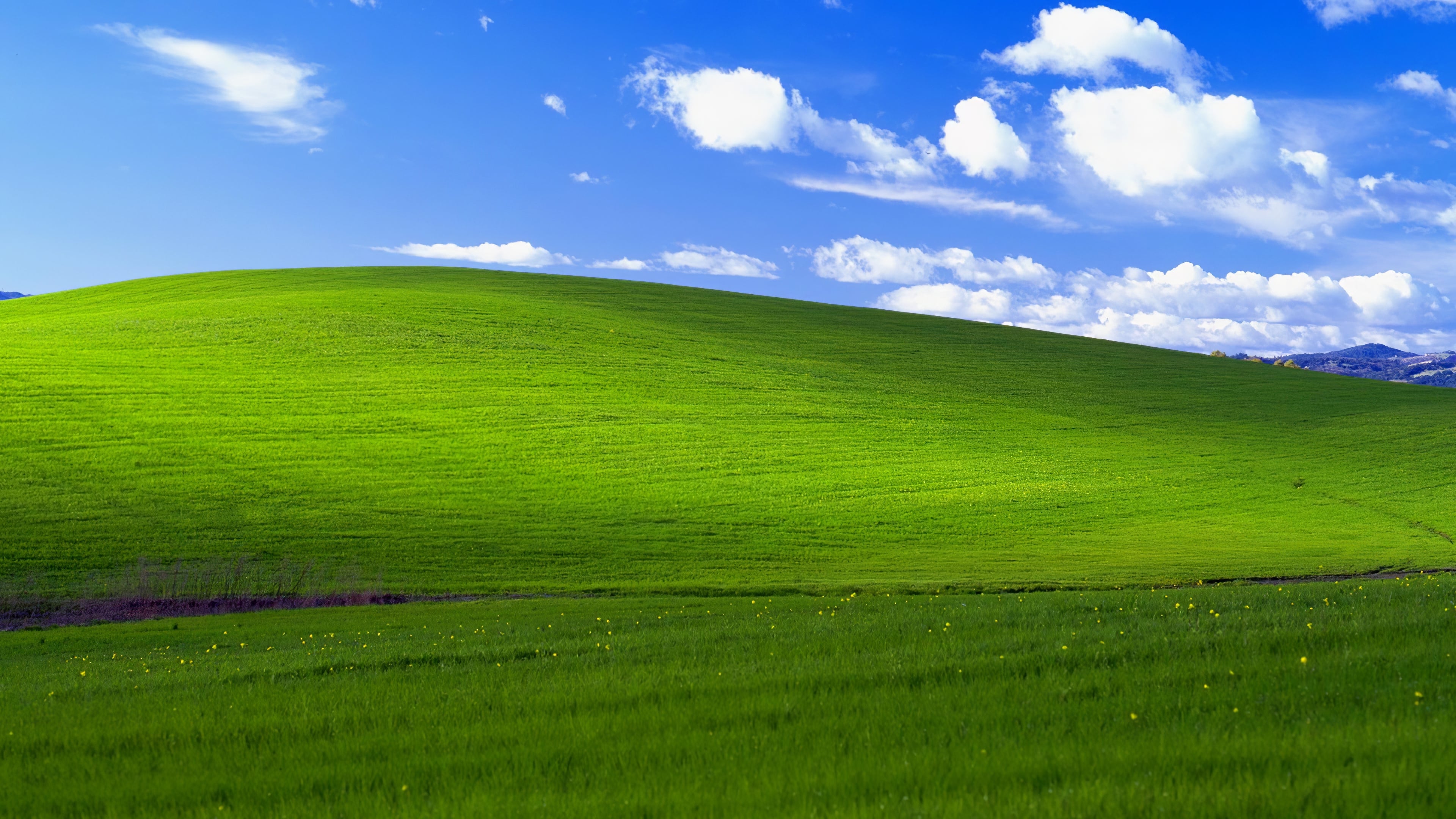 Bliss : wallpapers - Bliss Car Wash - Santa Clarita