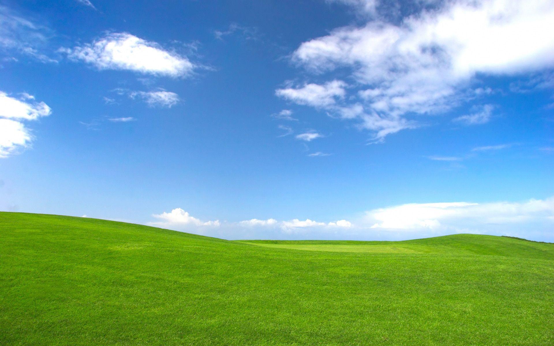 Bliss Wallpapers - Top Free Bliss Backgrounds - WallpaperAccess - Bliss Roots Cbd Gummies Reviews And Complaints