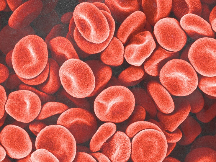 Blood: Components, functions, groups, and disorders - Blood Collection For Therapeutic Drug Monitoring Requires