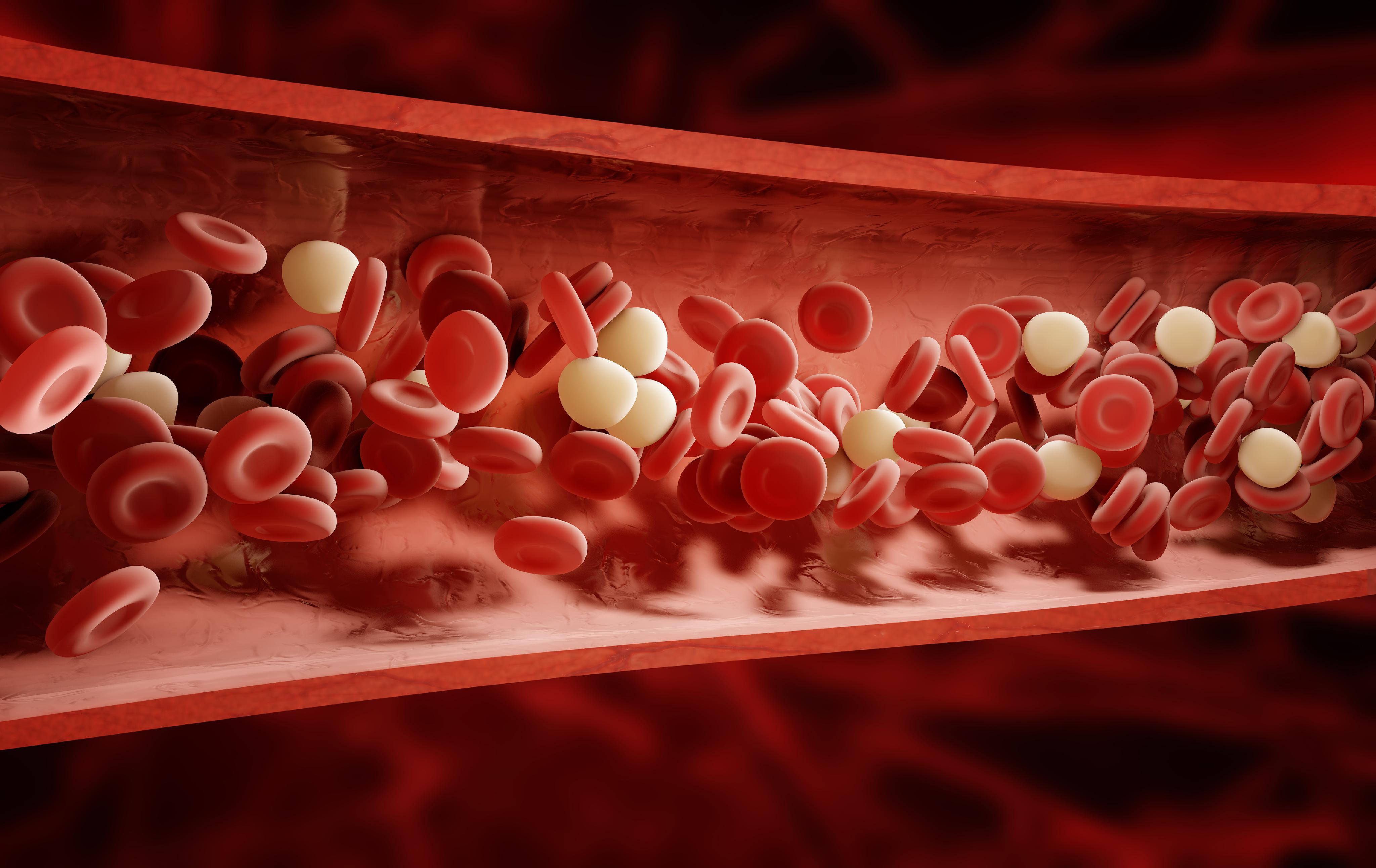 Blood | MedlinePlus - Blood Is A Compound Or Mixture