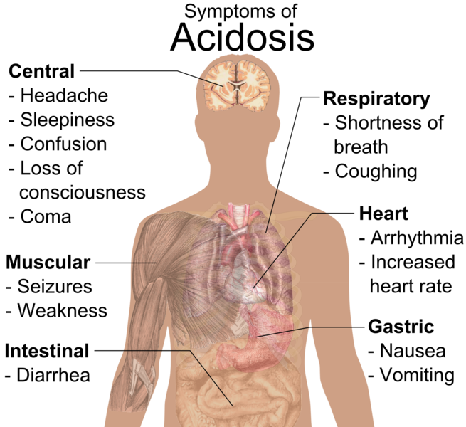 Body Dissatisfaction Is Typically Associated With Which Factor