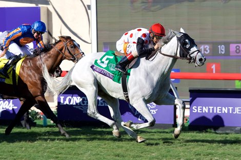 Broodmare of the Year Win Approval Dies at 29 - BloodHorse - Quality Of Information That Assures Users That Information